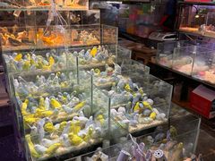 -青石桥花鸟鱼虫市场(叠翠城店)