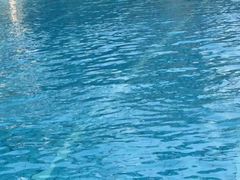 -奥林匹克体育中心游泳馆