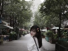 -泡桐树街