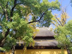 -西园戒幢律寺
