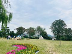 -北京西山国家森林公园