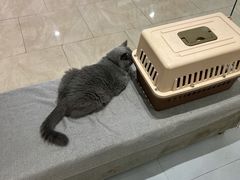 -派特宠物医院(圆融广场店)