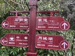 -青城山