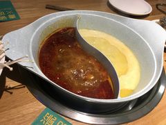 -青瓷火锅料理(西单大悦城店)