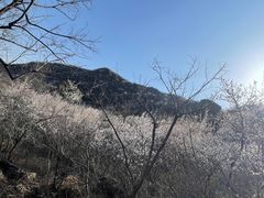 -北京十三陵国家森林公园蟒山景区