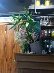 -卡木里发型工作室