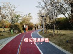 -澹台湖公园