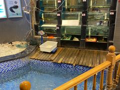 -老三龙虾(汉阳杨泗庙店)