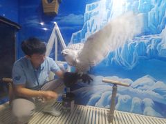 -成都浩海立方海洋公园