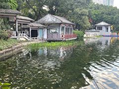-荔湾湖公园
