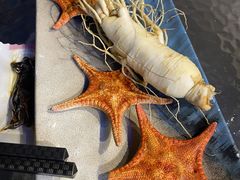 -千岛蚝高压锅生蚝·人参火锅(白云万达店)