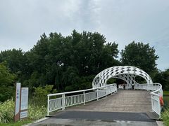-同里国家湿地公园