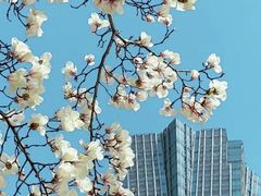 -西湖文化广场