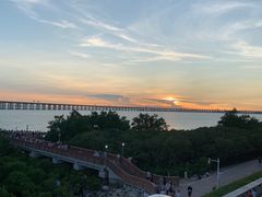 -宝安西湾红树林湿地公园