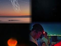 -上海南汇嘴大堤酒店