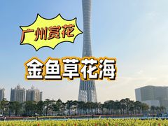 -海心沙亚运公园