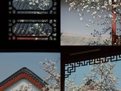 -堤角公园