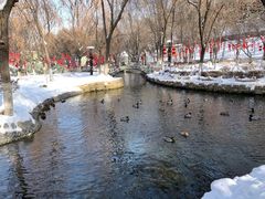 -水磨沟公园