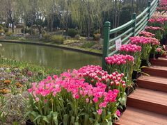 -上海鲜花港