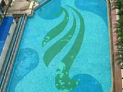 -重庆大学游泳馆