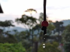 -槟城宝盛园民宿