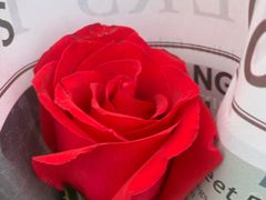 -FEI FEI FLOWER鲜花店·气球派对·宝宝宴布置(虹口德必运动Loft店)