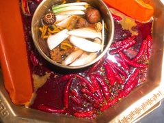 -蜀九香火锅(李家沱店)