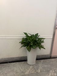 -深圳阳光医疗美容医院·旗舰店