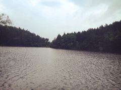 iphone_upload_pic-四明山国家森林公园