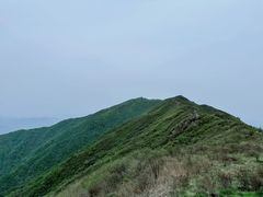-大围山国家森林公园