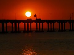 -宝安西湾红树林湿地公园