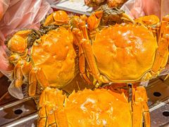 -龙巢盱眙龙虾·牛蛙·烧烤宵夜(八卦岭店)