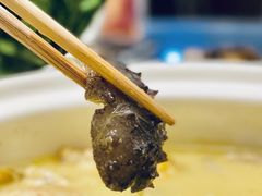 -金龙·打边炉(武进路店)