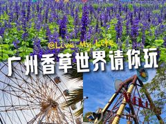 -广东花都香草世界旅游度假区