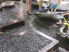-成都市活水公园