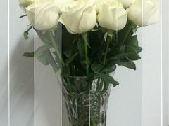 -亭亭鲜花店(中山北路店)