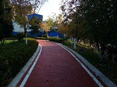 -马栏河运动公园