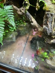 -酷嗒动物文化乐园(cutezoo西溪乐天城店)