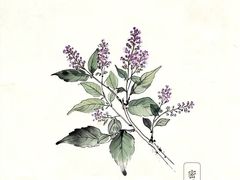 -宝视达眼镜(美中城店)