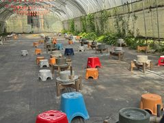 -前小桔亲子创意农场·草莓采摘·露营烧烤