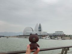 -野狸岛