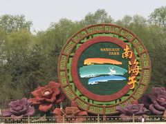 -南海子公园