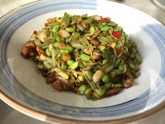 -食家鸽园