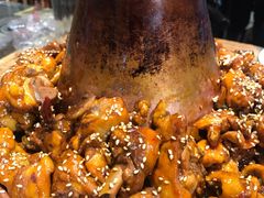 -刘记光大火锅鸡(北行店)