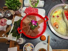 -大龙燚火锅(南山大道店)