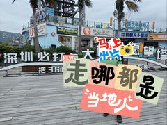 -大梅沙海滨公园
