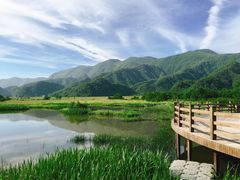 -大九湖