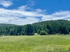 -塞罕坝国家级自然保护区