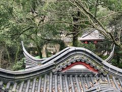 -十八棵（老龙井）御茶园(老龙井店)