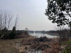 -南湖湿地公园